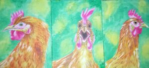 Chickens