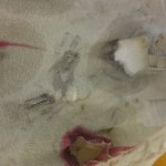 Broken down garment