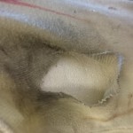 Broken down garment