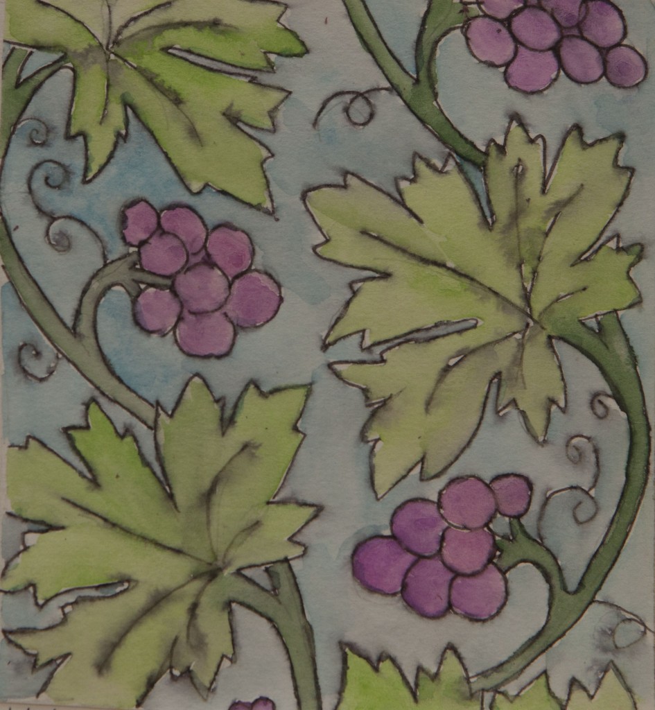 Grape Vines
