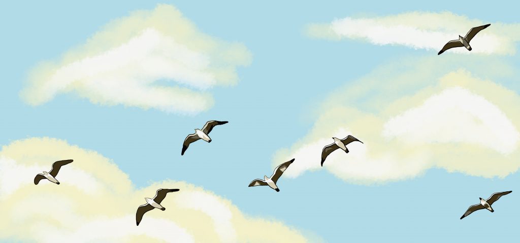 sky