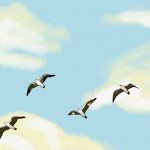sky